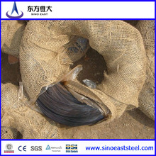 Black Annealed Iron Wire (SAE 1006)